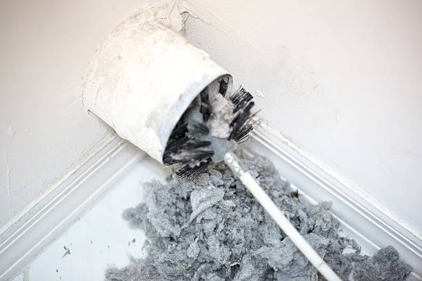 Best Duct Cleaning for Offices  in Bloomer, WI